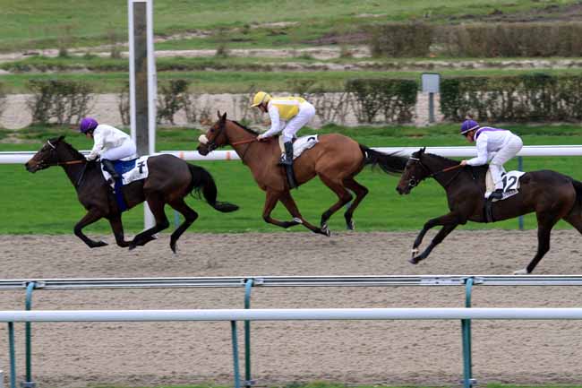 Photo d'arrivée de la course pmu PRIX D'ENGERVILLE à DEAUVILLE le Lundi 27 novembre 2017