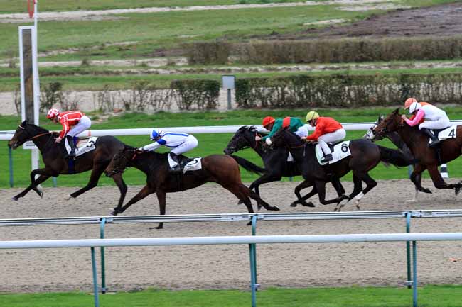 Photo d'arrivée de la course pmu PRIX DU BERGERET à DEAUVILLE le Lundi 27 novembre 2017