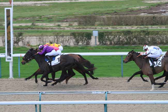 Photo d'arrivée de la course pmu PRIX DES CERISIERS à DEAUVILLE le Mardi 28 novembre 2017
