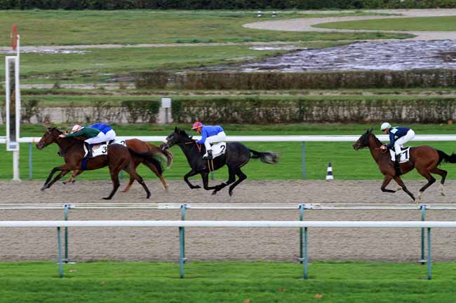 Photo d'arrivée de la course pmu PRIX GREY DAWN à DEAUVILLE le Mardi 28 novembre 2017