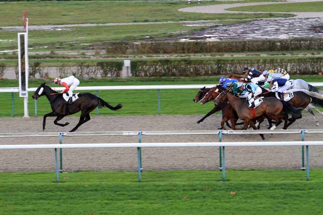 Photo d'arrivée de la course pmu PRIX DES ABRICOTIERS à DEAUVILLE le Mardi 28 novembre 2017