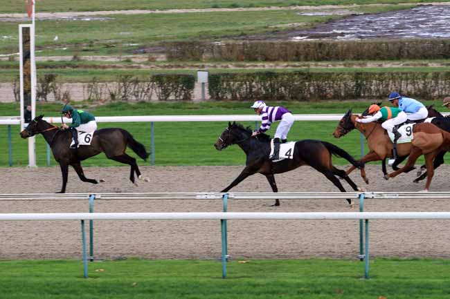 Photo d'arrivée de la course pmu PRIX DE LA PIGEONNIERE à DEAUVILLE le Mardi 28 novembre 2017