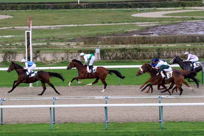 Photo d'arrivée de la course pmu PRIX DES POMMIERS à DEAUVILLE le Mardi 28 novembre 2017