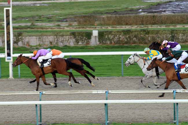 Photo d'arrivée de la course pmu PRIX DES PRUNIERS à DEAUVILLE le Mardi 28 novembre 2017