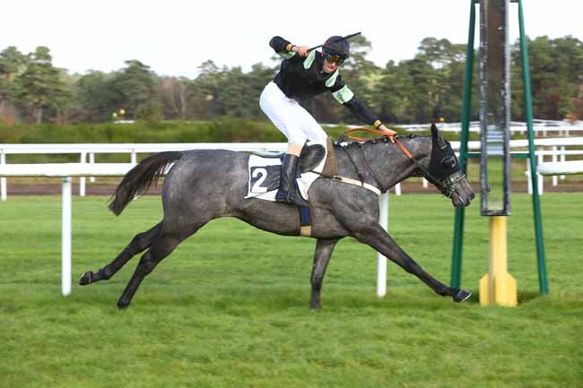 Photo d'arrivée de la course pmu PRIX DES GORGES D'APREMONT à FONTAINEBLEAU le Mardi 28 novembre 2017