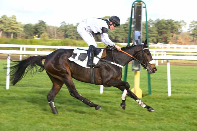 Photo d'arrivée de la course pmu PRIX DE MACHERIN à FONTAINEBLEAU le Mardi 28 novembre 2017