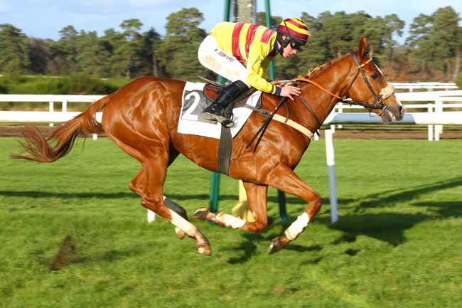 Photo d'arrivée de la course pmu PRIX DE LA GROTTE DES ERMITES à FONTAINEBLEAU le Mardi 28 novembre 2017