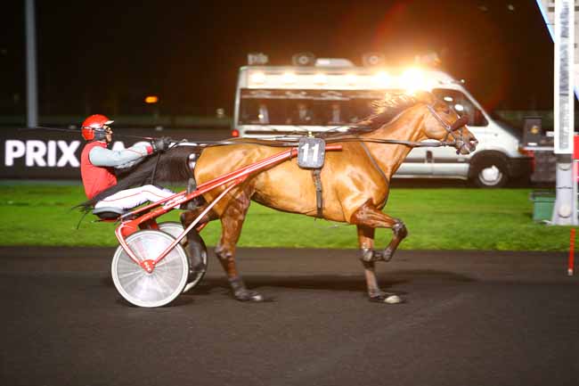 Photo d'arrivée de la course pmu PRIX LACHESIS à PARIS-VINCENNES le Mardi 28 novembre 2017