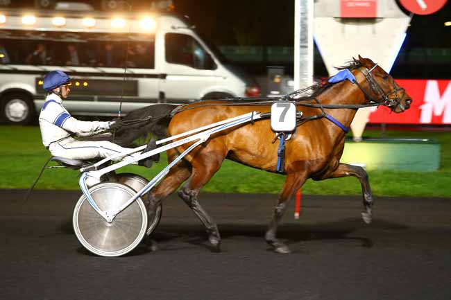 Photo d'arrivée de la course pmu PRIX GERDA à PARIS-VINCENNES le Mardi 28 novembre 2017