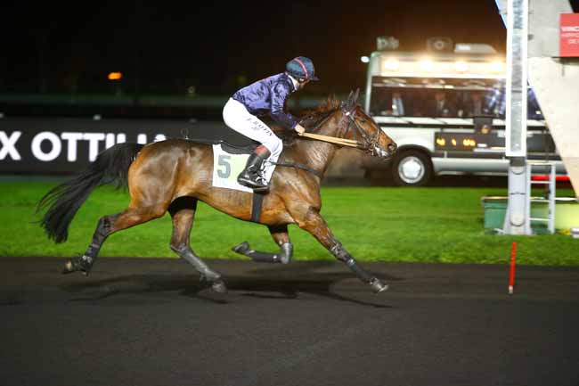 Photo d'arrivée de la course pmu PRIX OTTILIA à PARIS-VINCENNES le Mardi 28 novembre 2017