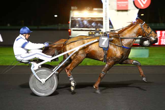 Photo d'arrivée de la course pmu PRIX URSA à PARIS-VINCENNES le Mardi 28 novembre 2017
