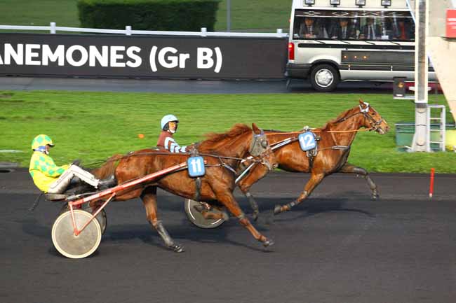 Photo d'arrivée de la course pmu PRIX DES ANEMONES (GR B) à PARIS-VINCENNES le Mercredi 29 novembre 2017