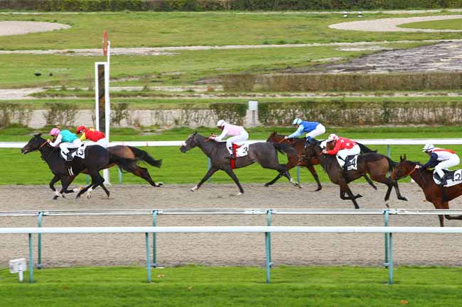 Photo d'arrivée de la course pmu PRIX DE LA PLACIERE à DEAUVILLE le Mercredi 29 novembre 2017