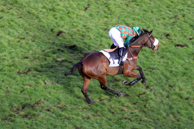 Photo d'arrivée de la course pmu PRIX CAP à AUTEUIL le Jeudi 30 novembre 2017