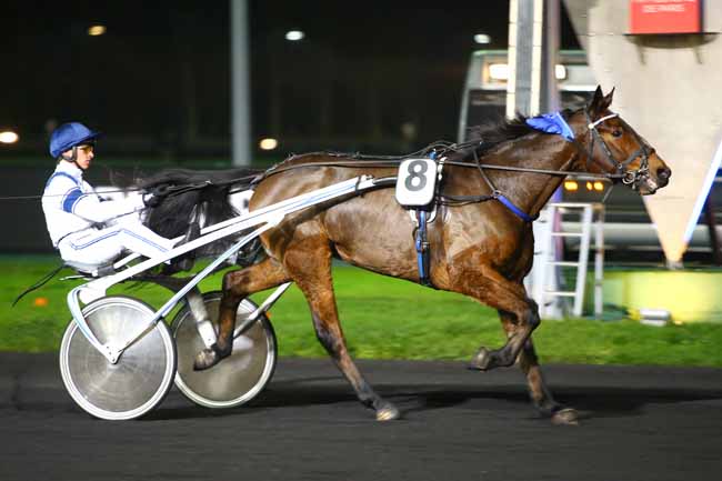 Photo d'arrivée de la course pmu PRIX POMONA (GR B) à PARIS-VINCENNES le Vendredi 1 décembre 2017