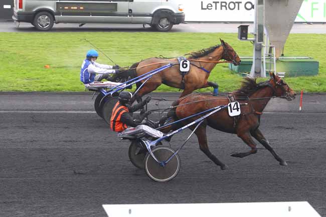 Photo d'arrivée de la course pmu LETROT OPEN DES REGIONS - 3 ANS à PARIS-VINCENNES le Dimanche 3 décembre 2017