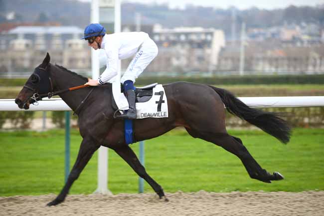 Photo d'arrivée de la course pmu PRIX DE MAROLLES à DEAUVILLE le Mardi 5 décembre 2017