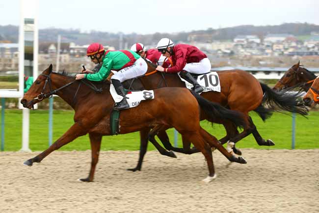 Photo d'arrivée de la course pmu PRIX DES CHAUMIERES à DEAUVILLE le Mardi 5 décembre 2017