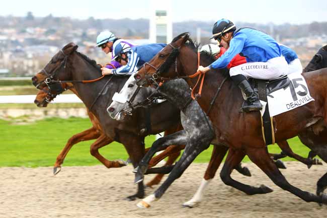 Photo d'arrivée de la course pmu PRIX DE LA MAREE à DEAUVILLE le Mardi 5 décembre 2017
