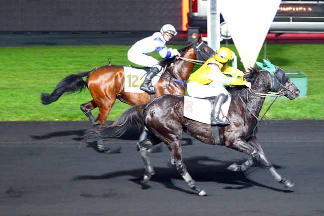 Photo d'arrivée de la course pmu PRIX D'ALES à PARIS-VINCENNES le Mercredi 6 décembre 2017
