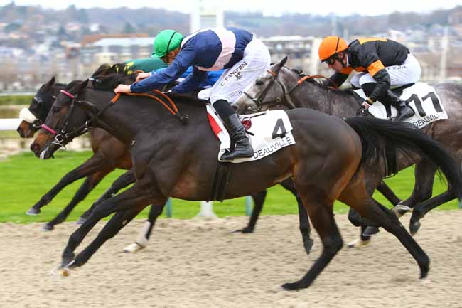 Photo d'arrivée de la course pmu PRIX DE MORICAUD à DEAUVILLE le Mercredi 6 décembre 2017