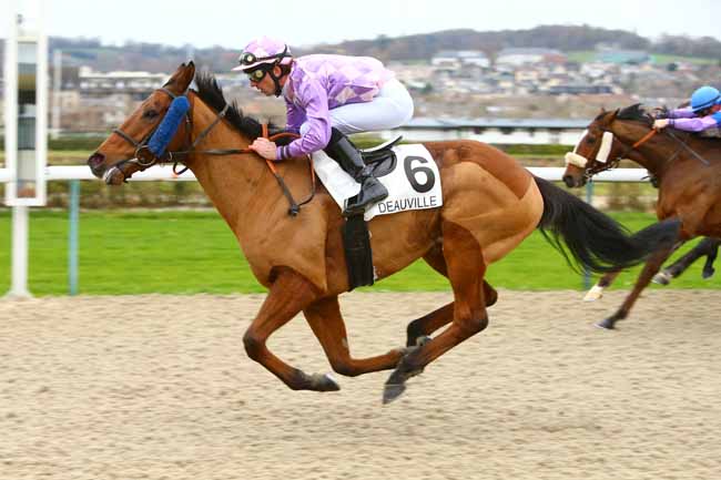 Photo d'arrivée de la course pmu PRIX DE BEAUFAIS à DEAUVILLE le Mercredi 6 décembre 2017
