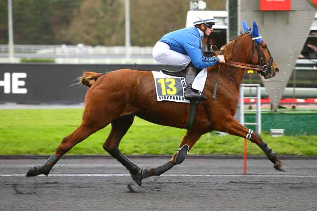 Photo d'arrivée de la course pmu PRIX DE VILLEFRANCHE à PARIS-VINCENNES le Lundi 11 décembre 2017