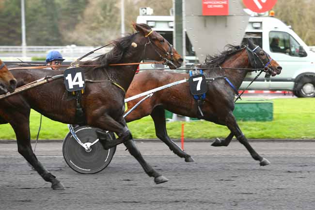 Photo d'arrivée de la course pmu PRIX DU MORBIHAN à PARIS-VINCENNES le Lundi 11 décembre 2017