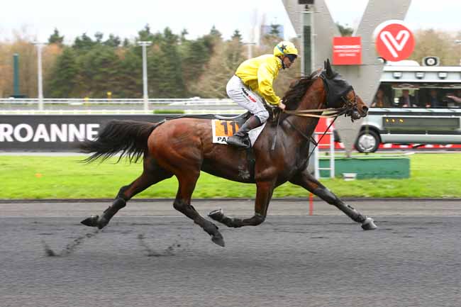 Photo d'arrivée de la course pmu PRIX DE ROANNE à PARIS-VINCENNES le Lundi 11 décembre 2017