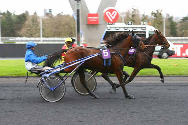 Photo d'arrivée de la course pmu PRIX DE MONTARGIS à PARIS-VINCENNES le Lundi 11 décembre 2017
