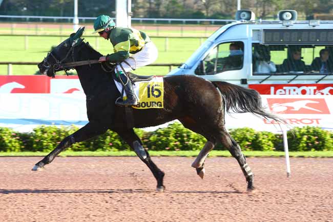 Photo d'arrivée de la course pmu PRIX DES SAULES à CABOURG le Mardi 12 décembre 2017