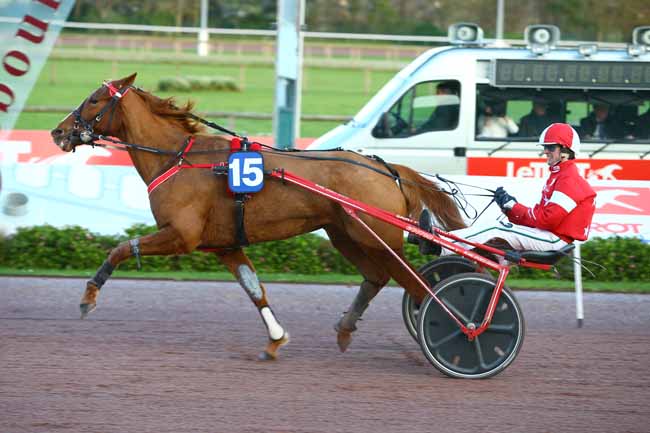 Photo d'arrivée de la course pmu PRIX DES TILLEULS à CABOURG le Mardi 12 décembre 2017