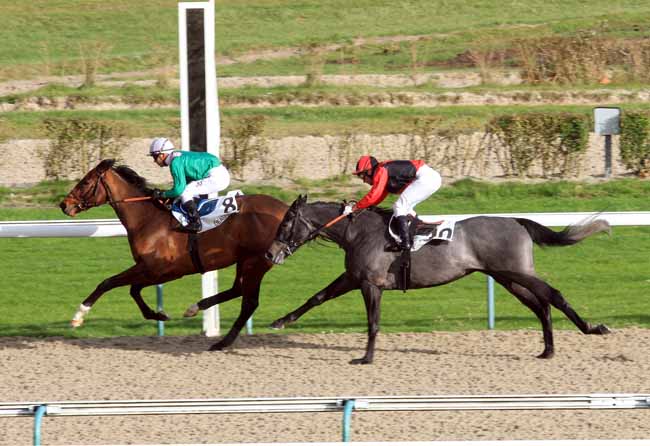 Photo d'arrivée de la course pmu PRIX DE L'AMIRAUTE à DEAUVILLE le Jeudi 14 décembre 2017