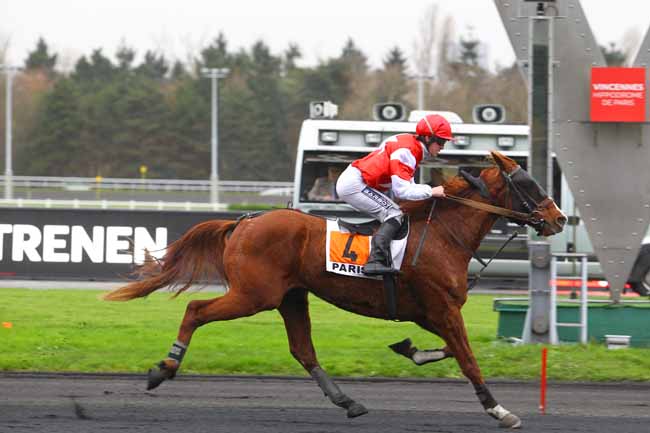 Photo d'arrivée de la course pmu PRIX DE ROSTRENEN à PARIS-VINCENNES le Jeudi 14 décembre 2017