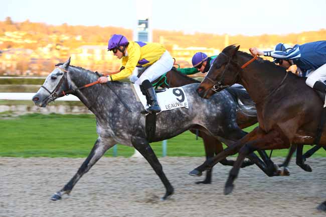Photo d'arrivée de la course pmu PRIX DE BREUIL à DEAUVILLE le Samedi 16 décembre 2017