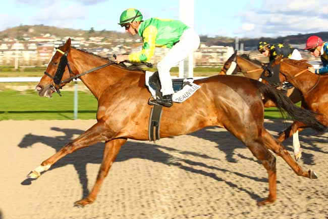 Photo d'arrivée de la course pmu PRIX D'OCCAGNES à DEAUVILLE le Samedi 16 décembre 2017