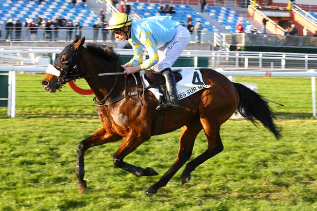 Photo d'arrivée de la course pmu PRIX DE CARDIFF à CAGNES-SUR-MER le Lundi 18 décembre 2017