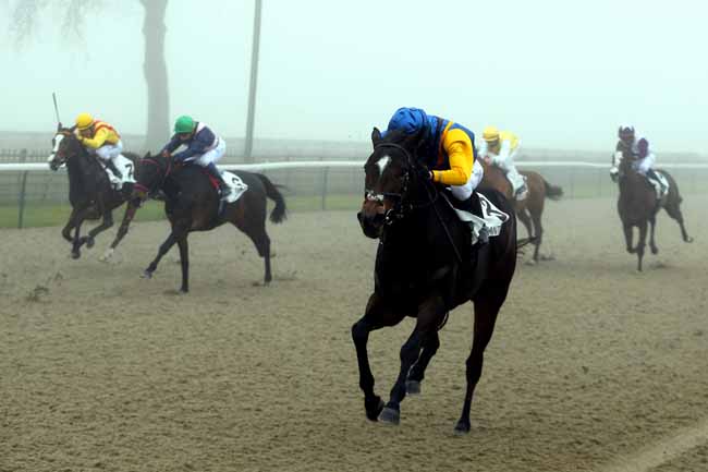 Photo d'arrivée de la course pmu PRIX MY SWALLOW à CHANTILLY le Mardi 19 décembre 2017