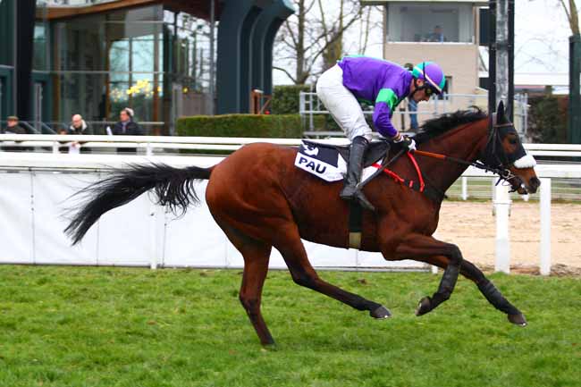 Photo d'arrivée de la course pmu PRIX DE LEMBEYE à PAU le Mercredi 20 décembre 2017