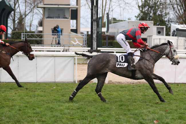 Photo d'arrivée de la course pmu PRIX DE BIELLE à PAU le Mercredi 20 décembre 2017