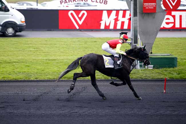 Photo d'arrivée de la course pmu PRIX DE GRAMAT à PARIS-VINCENNES le Mercredi 20 décembre 2017