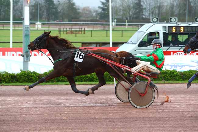Photo d'arrivée de la course pmu PRIX DES PLATANES à CABOURG le Jeudi 21 décembre 2017