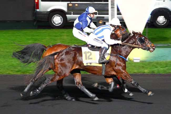 Photo d'arrivée de la course pmu PRIX D'ISPAGNAC à PARIS-VINCENNES le Dimanche 24 décembre 2017