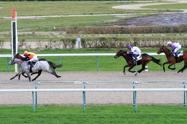Photo d'arrivée de la course pmu PRIX DE PUTANGES à DEAUVILLE le Mardi 26 décembre 2017