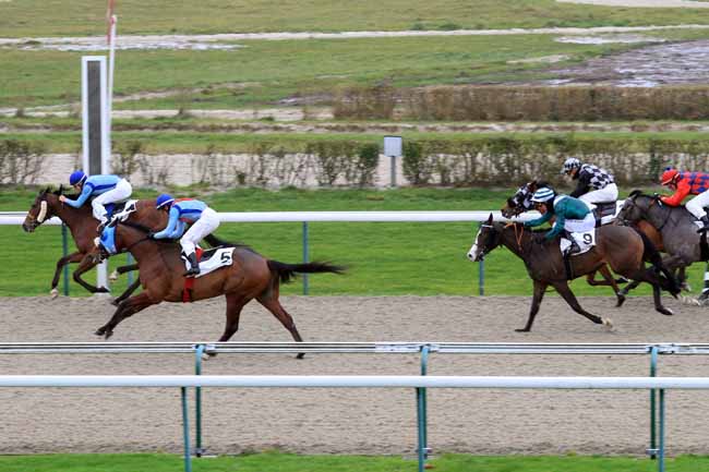 Photo d'arrivée de la course pmu PRIX DE CUIGNY à DEAUVILLE le Mercredi 27 décembre 2017