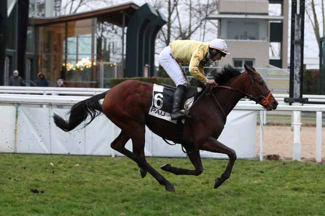 Photo d'arrivée de la course pmu PRIX JOSEPH BARRON à PAU le Mercredi 3 janvier 2018