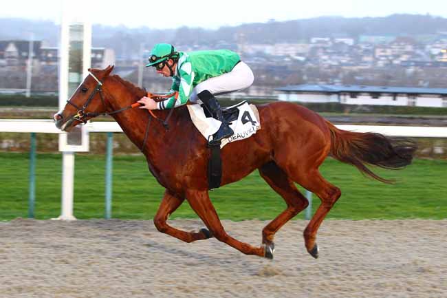 Photo d'arrivée de la course pmu PRIX DE MARMOUILLET à DEAUVILLE le Jeudi 4 janvier 2018