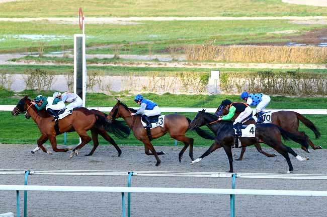 Photo d'arrivée de la course pmu PRIX D'ESSAI à DEAUVILLE le Vendredi 5 janvier 2018