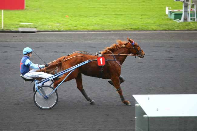 Photo d'arrivée de la course pmu PRIX DE CHATEAUGIRON à PARIS-VINCENNES le Samedi 6 janvier 2018