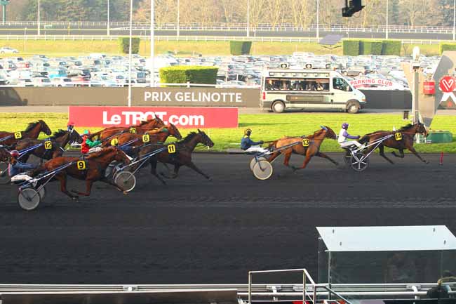 Photo d'arrivée de la course pmu PRIX GELINOTTE à PARIS-VINCENNES le Dimanche 14 janvier 2018